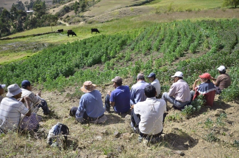 Agricultores en el Valle de Condebamba